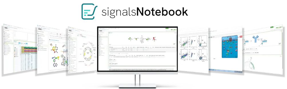 SNB website SNB website